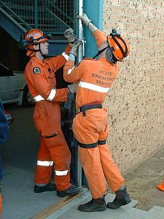 SES 06