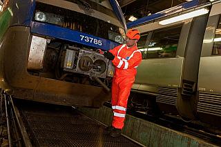 hivis orange 023