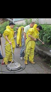 yellow 094