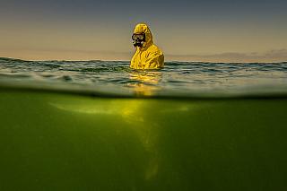yellow 141