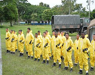 yellow 144