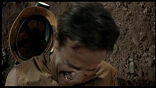 Fortress 30 