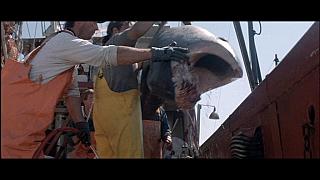 THE PERFECT STORM-09