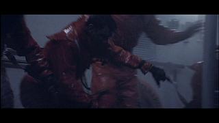 THE PERFECT STORM-125