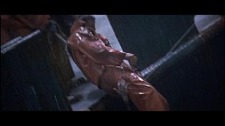 THE PERFECT STORM-81