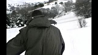 YOSSI 054