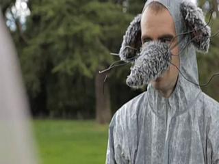 DISP GREY 003