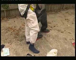 TYVEK WHITE 0038