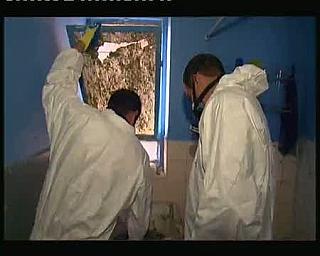 TYVEK WHITE 0070
