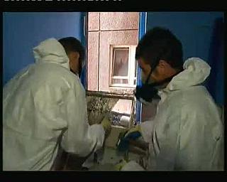 TYVEK WHITE 0077