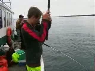 FISH 0002