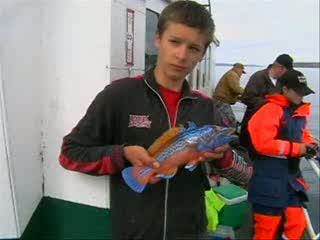 FISH 0006