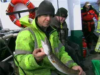 FISH 0010