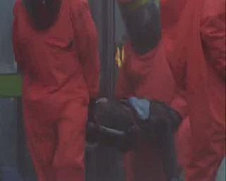 HAZMAT ORANGE 0032