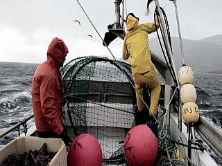 helly hansen 01