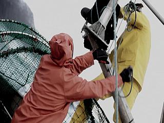 helly hansen 02