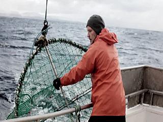 helly hansen 17