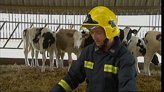 animrescue 44