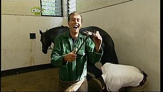 BP horse 18