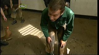 BP horse 19