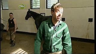 BP horse 20