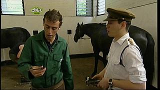 BP horse 21