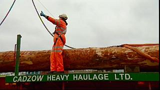 bsuit hivo 10