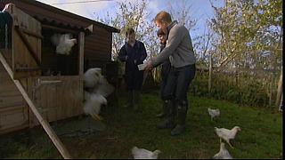 COUNTRYFILE 067