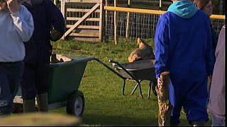 COUNTRYFILE 069