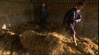 COUNTRYFILE 073