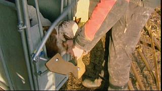 COUNTRYFILE 090