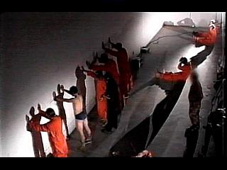 Army Interrogation 06