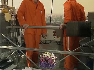 BSUIT ORANGE 031