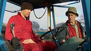 Work Farmer 09