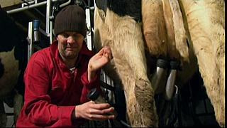 Work Farmer 18