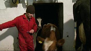 Work Farmer 20