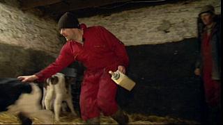 Work Farmer 24