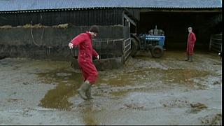 Work Farmer 27