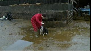 Work Farmer 28