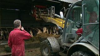 Work Farmer 30
