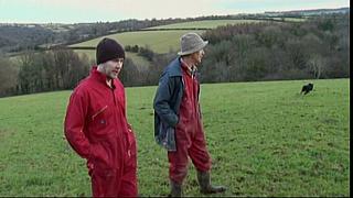 Work Farmer 34