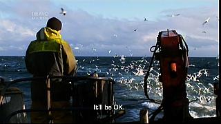 DNS 213