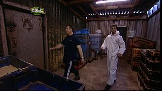 BP maggots 04