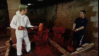 BP maggots 34