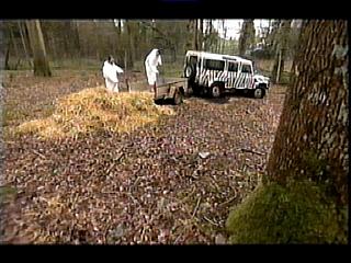 DISP WHITE 099