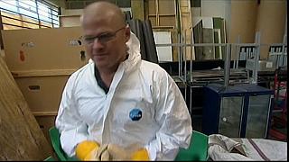 heston 03