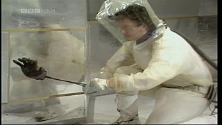 drwho 16