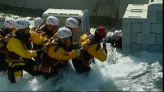 BP DRY 36