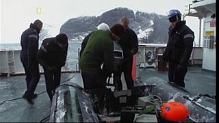 Ice 009