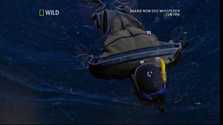 River Monsters 01
